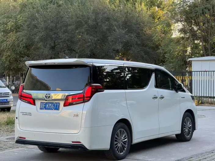 Elfa 2021 Model Hybrid 2.5L Deluxe Edition – фото 7