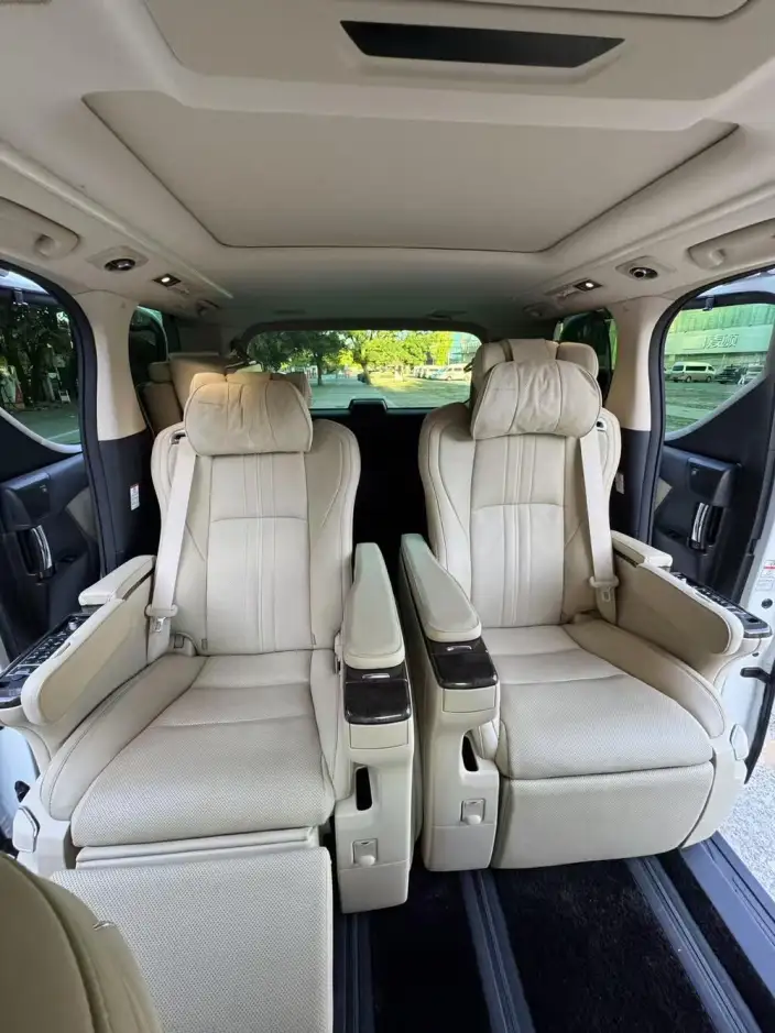 Elfa 2021 Model Hybrid 2.5L Deluxe Edition – фото 19