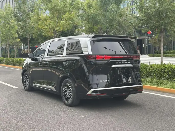 DENZA D9 DM 2025 Model Smart Driving Edition 1020 4WD Exclusive Model – фото 9