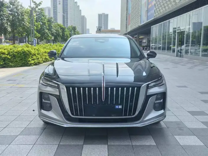 Hongqi H5 2023 Model 2.0T Automatic Flag Enjoy Edition – фото 2