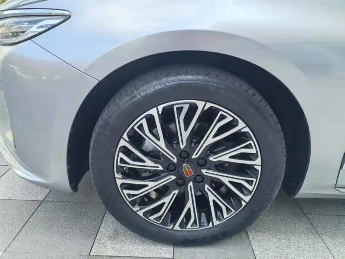 Hongqi H5 2023 Model 2.0T Automatic Flag Enjoy Edition – фото 8