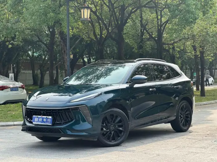 Fengxing T5 EVO 2021 Model 1.5TD DCT Star Glory Edition