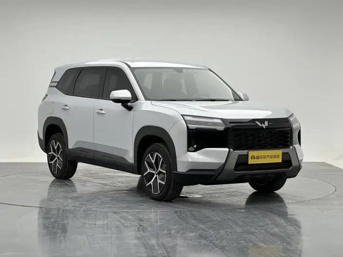 Xingguang 560 2026 Model 1.5T 6MT Comfort Model – фото 3