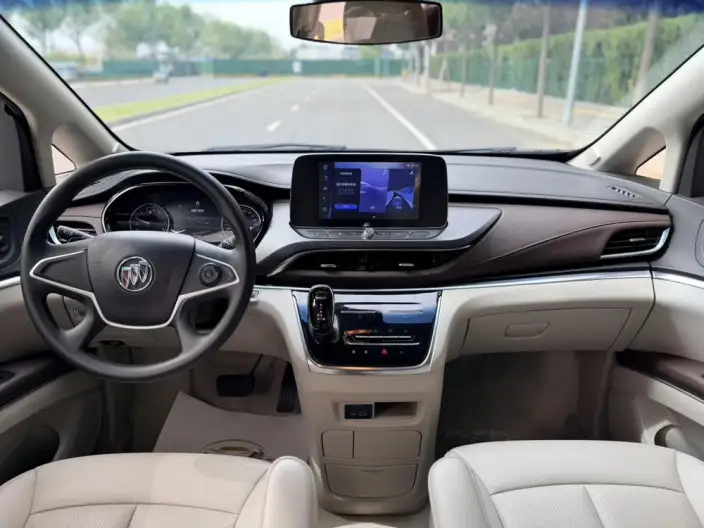 Buick GL8 2023 Model Business class 2.0T Comfort Model – фото 16
