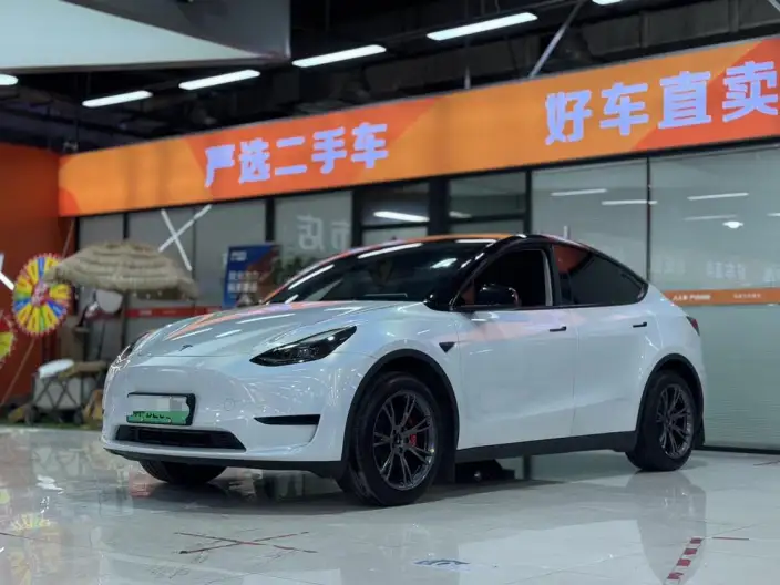 Model Y 2024 Model Rear-wheel drive version – фото 1
