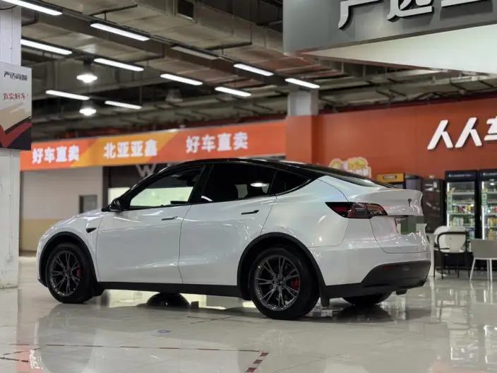 Model Y 2024 Model Rear-wheel drive version – фото 4