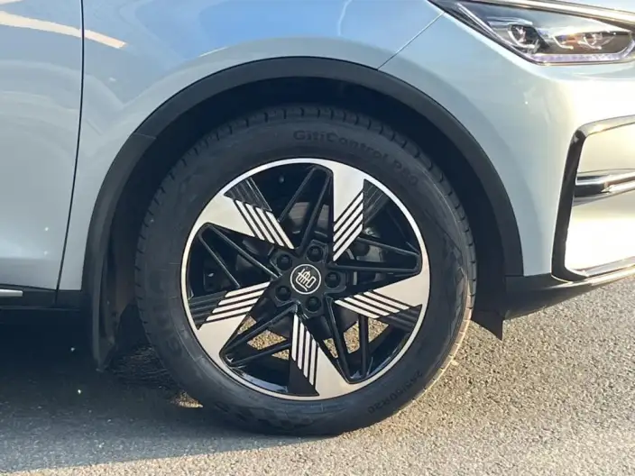 BYD Tang DM 2023 Model DM-i Champion Edition 112KM Zunrong Model – фото 21
