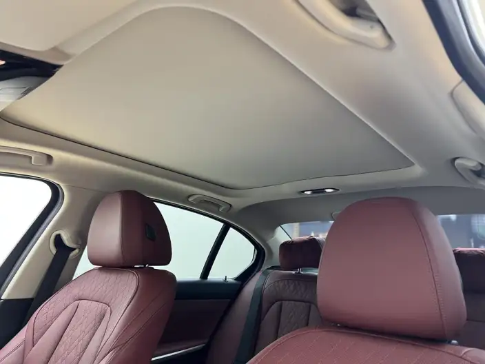 BMW 3 Series 2022 Model 325Li M Sports Set – фото 23