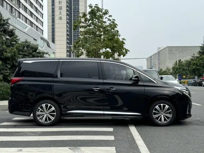 GAC Trumpchi M8 2020 Model Pilot Model 390T Supreme Edition – фото 6