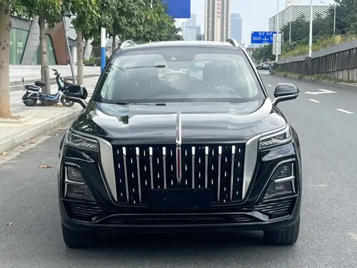 Hongqi HS5 2023 Model 2.0T 4WD Flag Xiang Pro Edition – фото 2