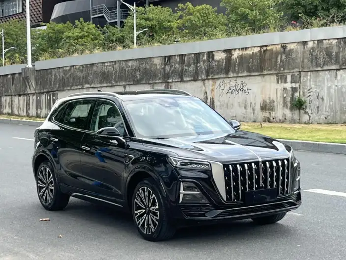 Hongqi HS5 2023 Model 2.0T 4WD Flag Xiang Pro Edition – фото 3