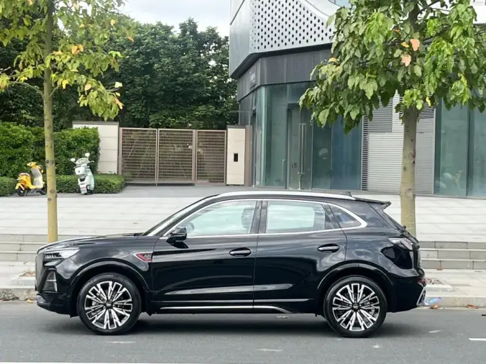 Hongqi HS5 2023 Model 2.0T 4WD Flag Xiang Pro Edition – фото 4