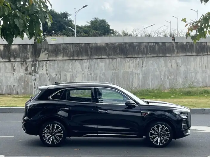Hongqi HS5 2023 Model 2.0T 4WD Flag Xiang Pro Edition – фото 8