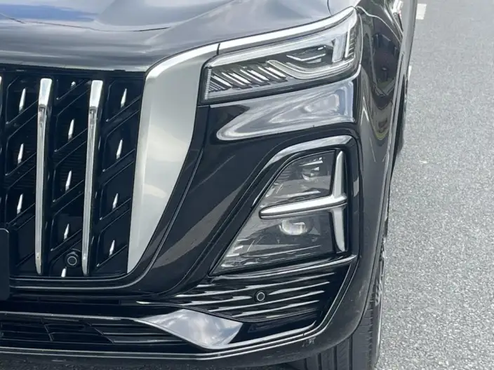 Hongqi HS5 2023 Model 2.0T 4WD Flag Xiang Pro Edition – фото 10