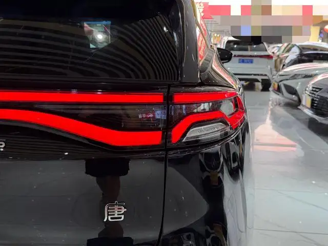 BYD Tang DM 2023 Model DM-i Champion Edition 112KM Zunrong Model – фото 8