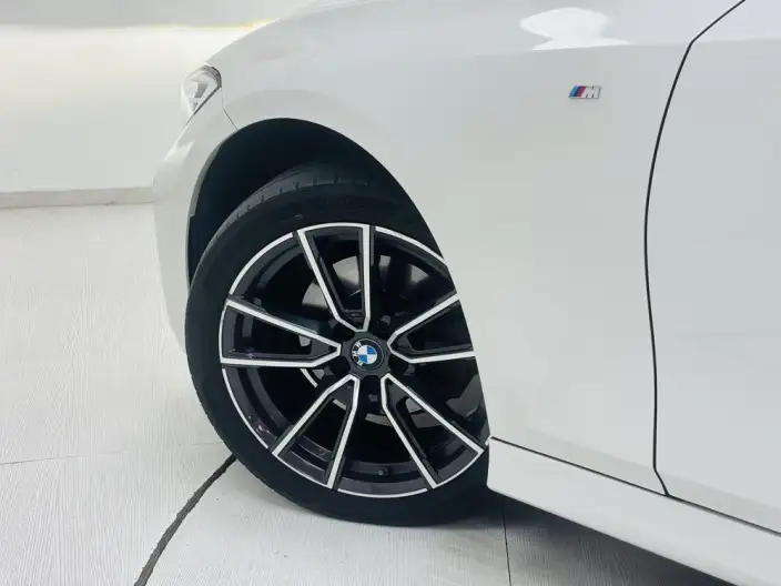 BMW 3 Series 2021 Model 320Li M Sports Set – фото 3