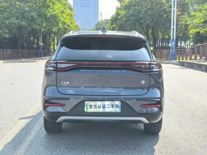 BYD Tang DM 2021 Model DM-i 1.5T 112KM Noble Model – фото 6