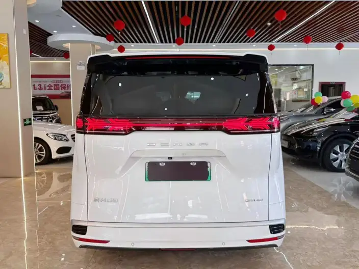 DENZA D9 DM 2022 Model 970 4WD Flagship Model – фото 5