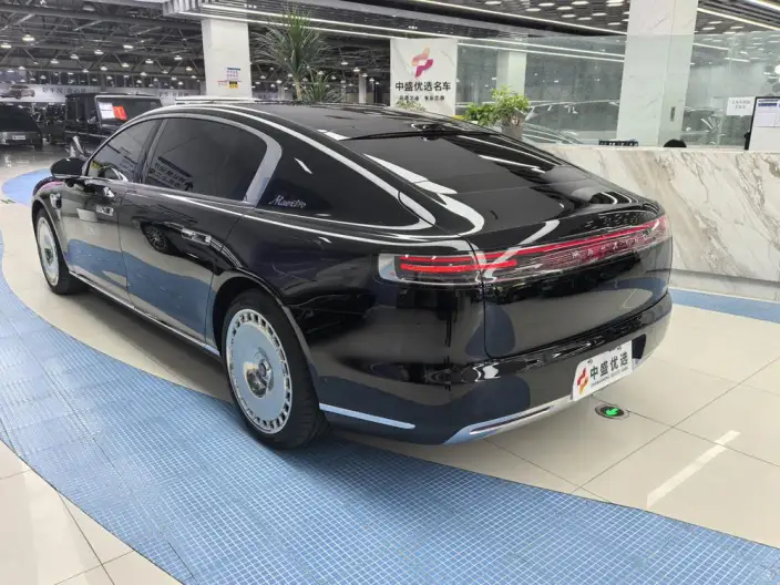 Zunjie S800 2025 Model Extended Range Starlight Executive Edition 4 seat – фото 4
