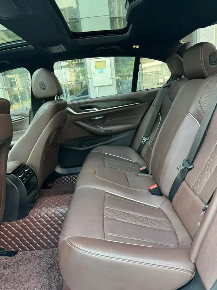 BMW 5 Series 2021 Model 530Li Leading Model M Sports Set – фото 9