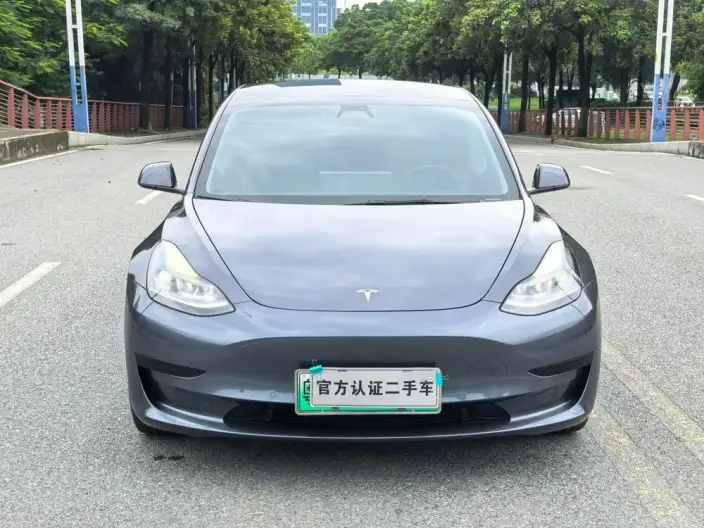 Model 3 2020 Model Standard Battery Life Rear Drive L Class Edition – фото 2