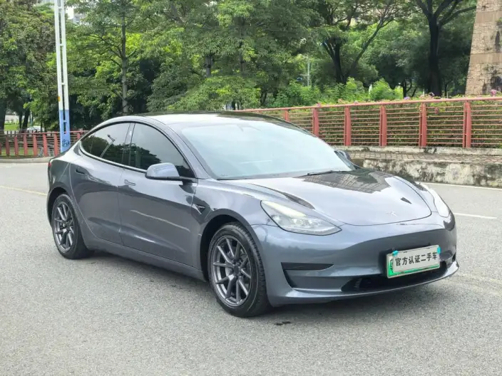 Model 3 2020 Model Standard Battery Life Rear Drive L Class Edition – фото 3