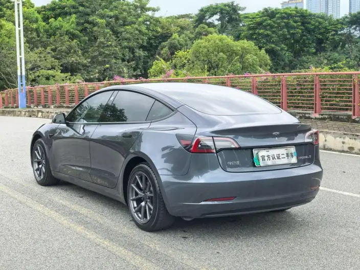 Model 3 2020 Model Standard Battery Life Rear Drive L Class Edition – фото 5