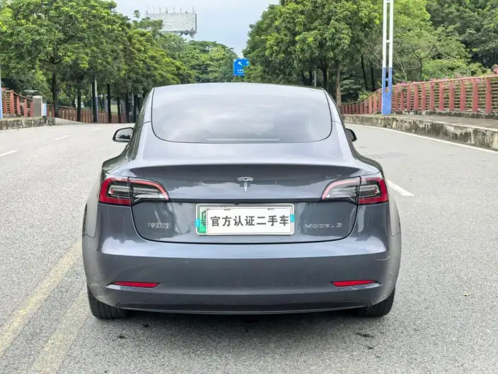 Model 3 2020 Model Standard Battery Life Rear Drive L Class Edition – фото 6
