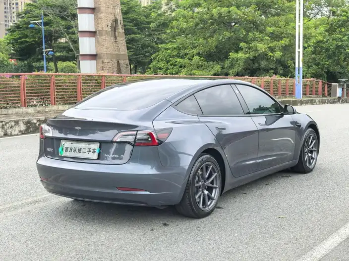 Model 3 2020 Model Standard Battery Life Rear Drive L Class Edition – фото 7