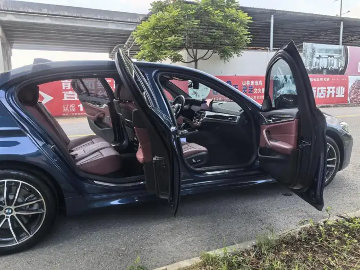 BMW 5 Series 2021 Model 525Li M Sports Set – фото 9