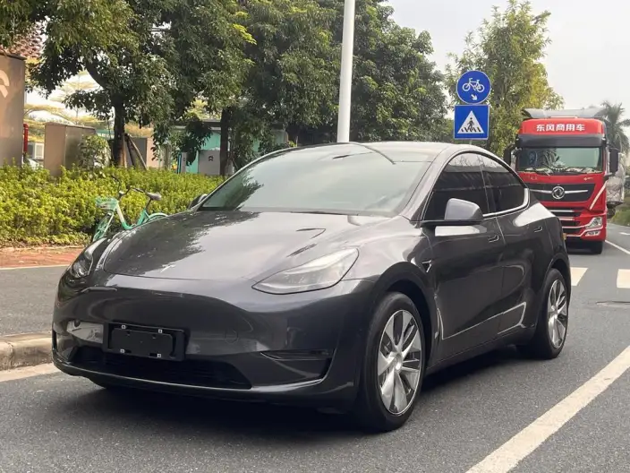 Model Y 2021 Model Standard Battery Life Rear-wheel drive version – фото 1