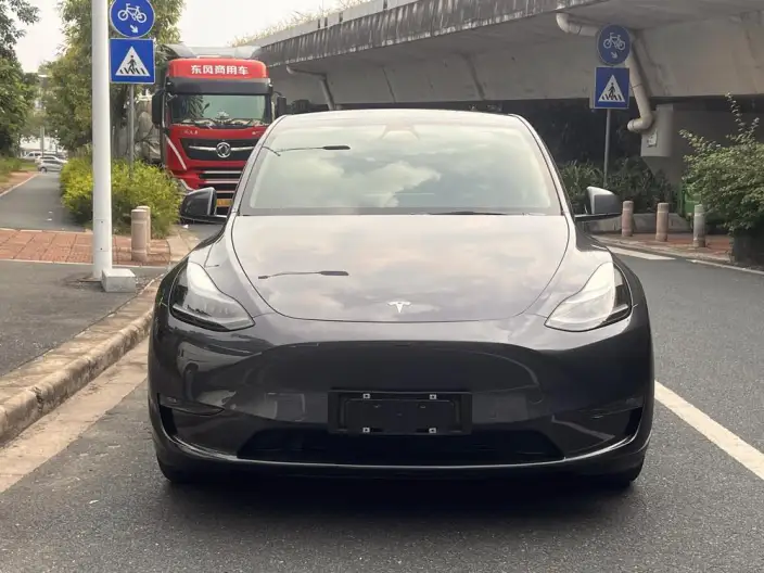 Model Y 2021 Model Standard Battery Life Rear-wheel drive version – фото 2