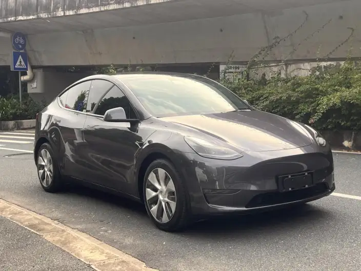 Model Y 2021 Model Standard Battery Life Rear-wheel drive version – фото 3
