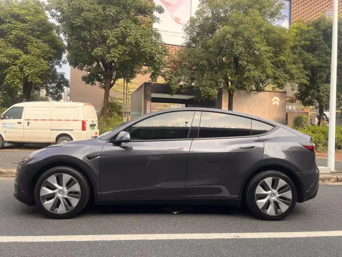 Model Y 2021 Model Standard Battery Life Rear-wheel drive version – фото 4
