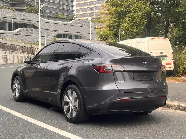 Model Y 2021 Model Standard Battery Life Rear-wheel drive version – фото 5