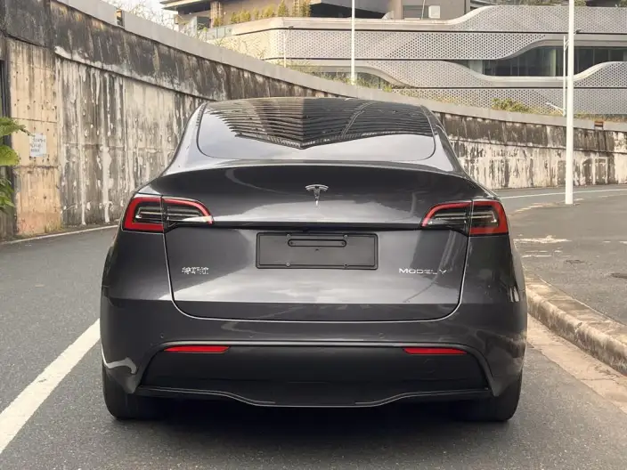 Model Y 2021 Model Standard Battery Life Rear-wheel drive version – фото 6