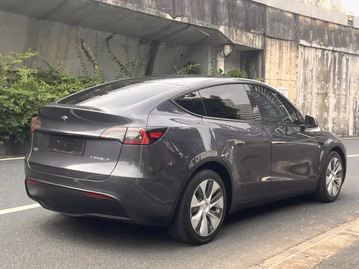 Model Y 2021 Model Standard Battery Life Rear-wheel drive version – фото 7