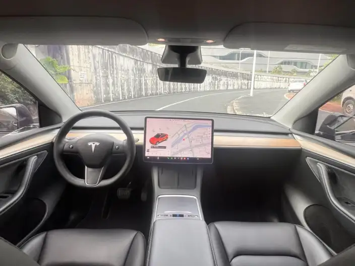 Model Y 2021 Model Standard Battery Life Rear-wheel drive version – фото 8