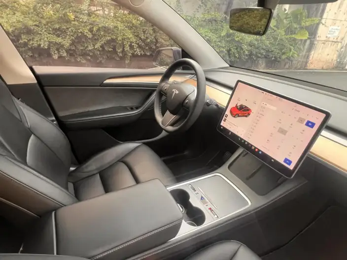 Model Y 2021 Model Standard Battery Life Rear-wheel drive version – фото 9