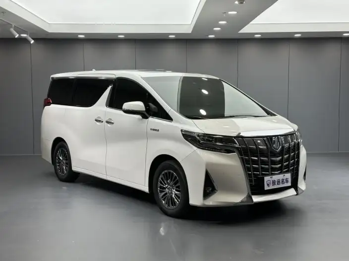Elfa 2021 Model Hybrid 2.5L Premium Edition – фото 3