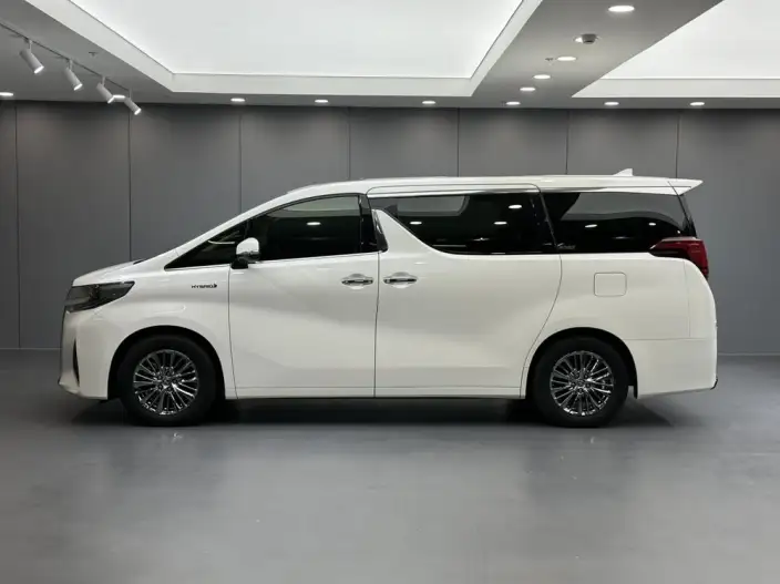 Elfa 2021 Model Hybrid 2.5L Premium Edition – фото 4