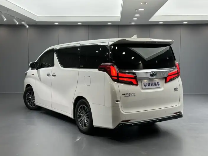 Elfa 2021 Model Hybrid 2.5L Premium Edition – фото 5