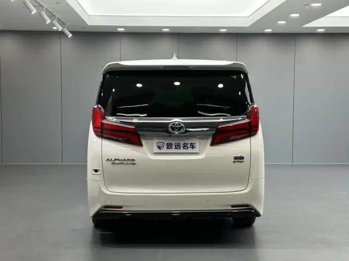 Elfa 2021 Model Hybrid 2.5L Premium Edition – фото 6