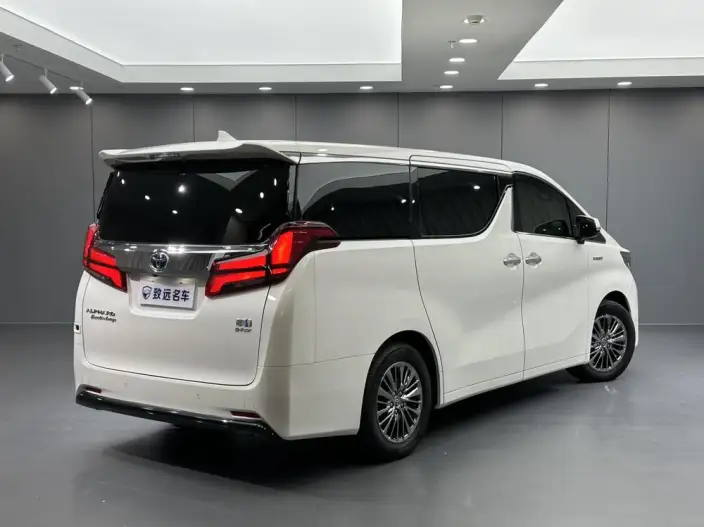 Elfa 2021 Model Hybrid 2.5L Premium Edition – фото 7