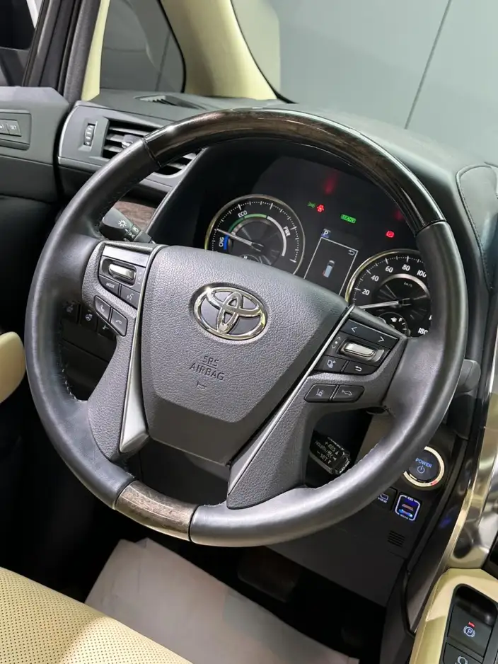Elfa 2021 Model Hybrid 2.5L Premium Edition – фото 8