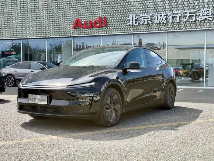 Model Y 2025 Model Rear-wheel drive version – фото 1
