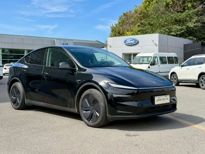 Model Y 2025 Model Rear-wheel drive version – фото 2