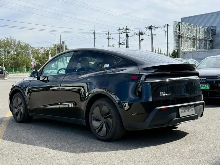 Model Y 2025 Model Rear-wheel drive version – фото 4