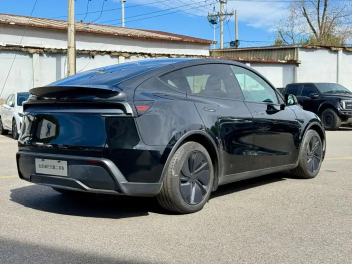 Model Y 2025 Model Rear-wheel drive version – фото 5
