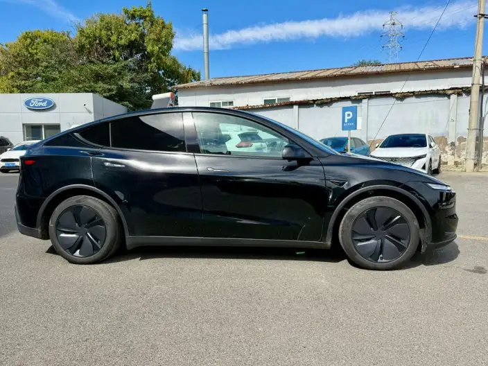 Model Y 2025 Model Rear-wheel drive version – фото 6